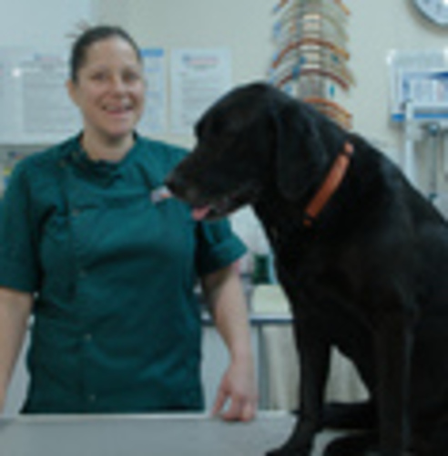 Nicola Bell BVSc BSc MRCVS (OV)